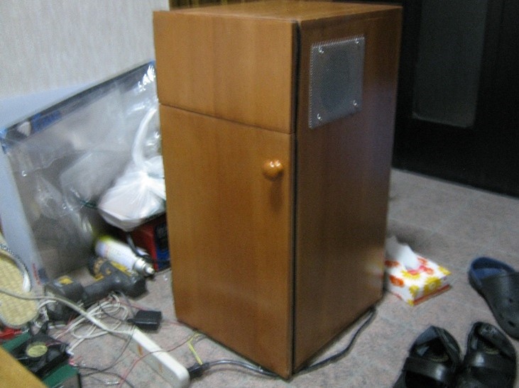 DIY peltier fridge